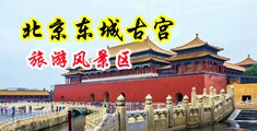 屄屄屄喷水了啊啊啊啊啊视频中国北京-东城古宫旅游风景区